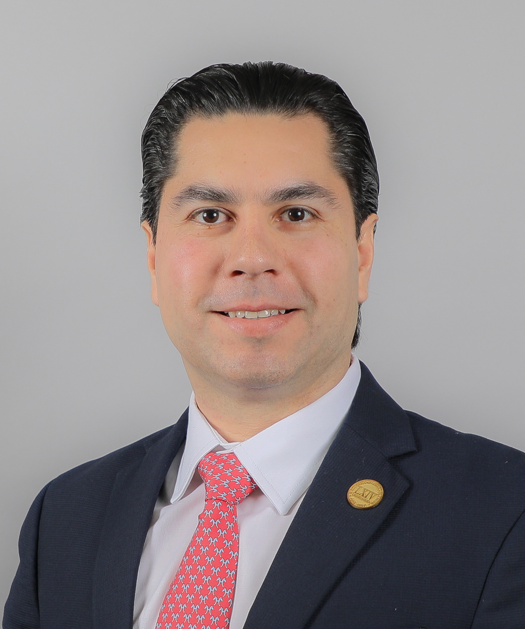 emeterio ochoa bazúa